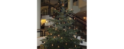 Weihnachtsbaum mit Geschenken