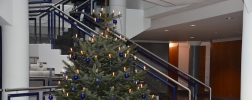 Weihnachtsbaum