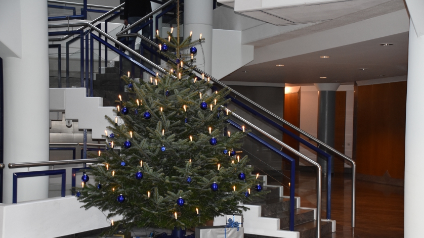 Weihnachtsbaum