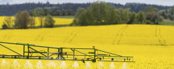 Campo de colza en flor con aplicación de pesticidas