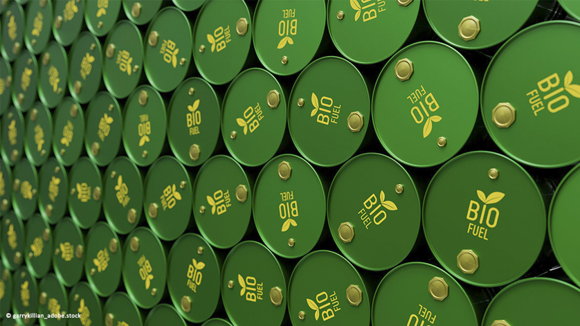 Biokraftstoffe haben einen zunehmenden Anteil am Energiemix.