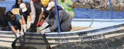 WIKA pressure gauges are used to rescue sea lions in Mexico.