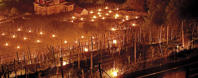 An IIot solution in the vineyard optimises frost protection for the vines.