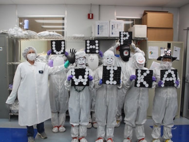 Ultra-High Purity Monsters